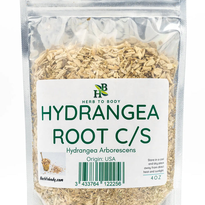 Hydrangea Root