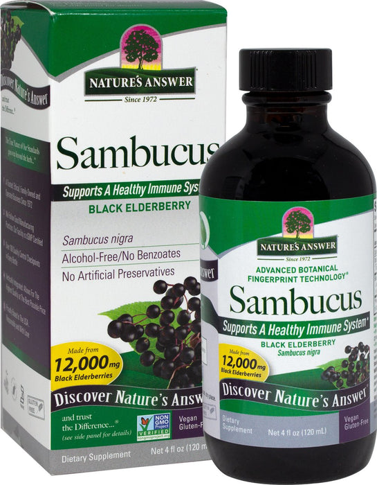 Sambucus Black Elderberry